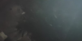 佛山桂城性价比高的快餐私窦