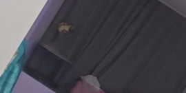 朋友带我去的私约（凭借口才开启好多隐藏福利）